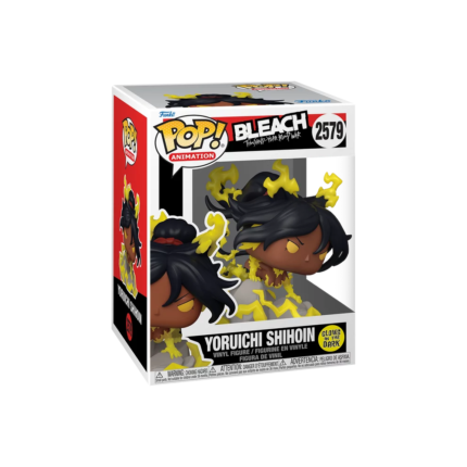 Yoruichi Shihoin 2579 GITD